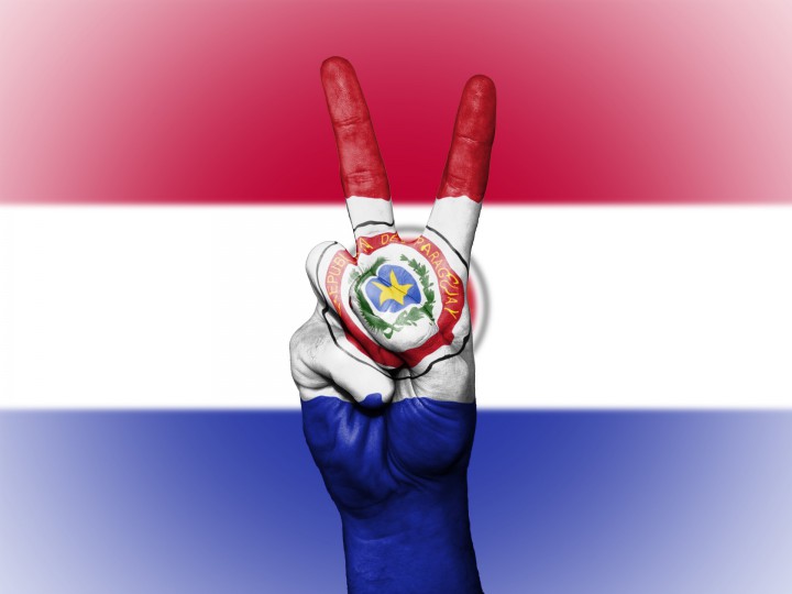 Jornada consular de Paraguay